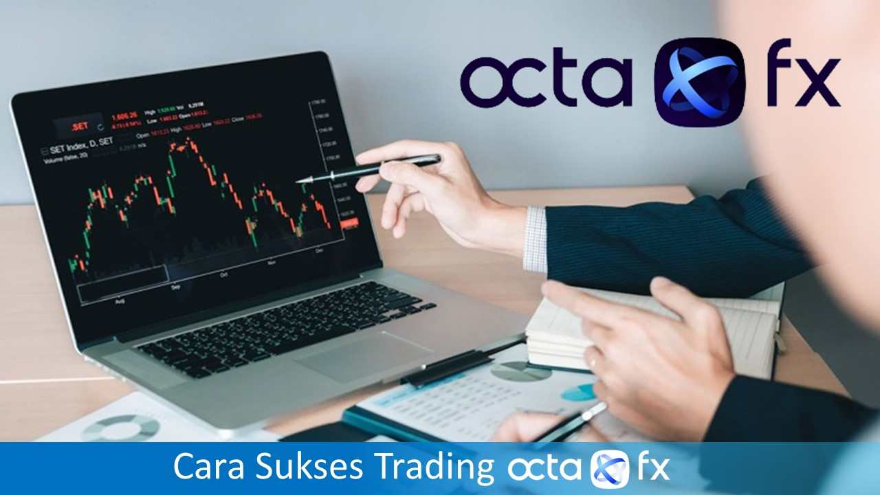 Cara Sukses Trading Forex OctaFX