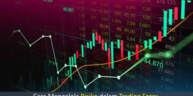 Cara Mengelola Risiko dalam Trading Forex