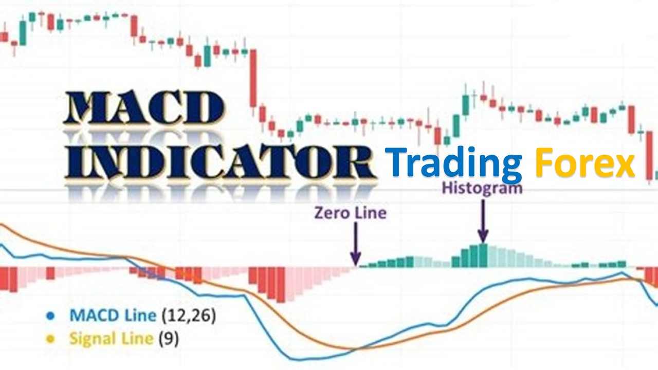 Contoh Penggunaan Indikator MACD dalam Trading Forex