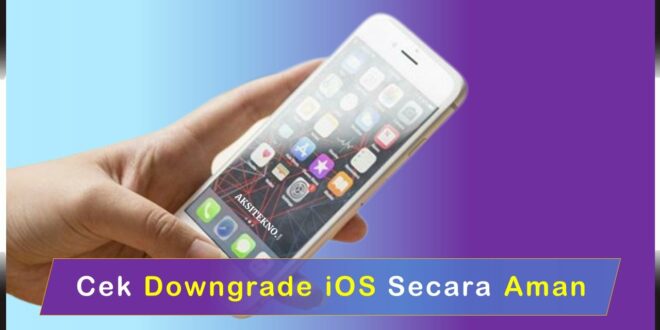 Cek Downgrade iOS